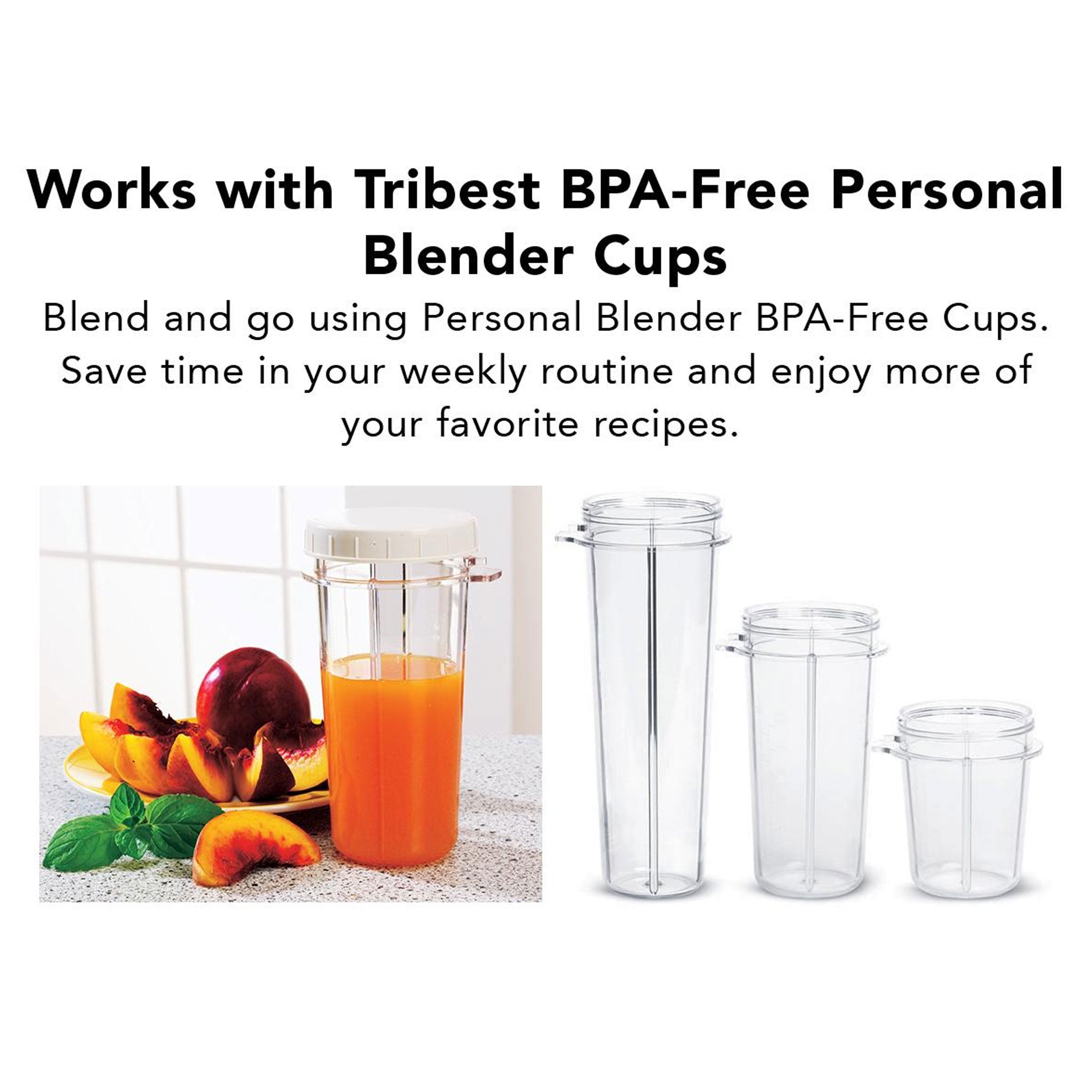 Tribest® Personal Blender II® Mason Jar Ready (Basic 12-Piece Set) - Juice Guru