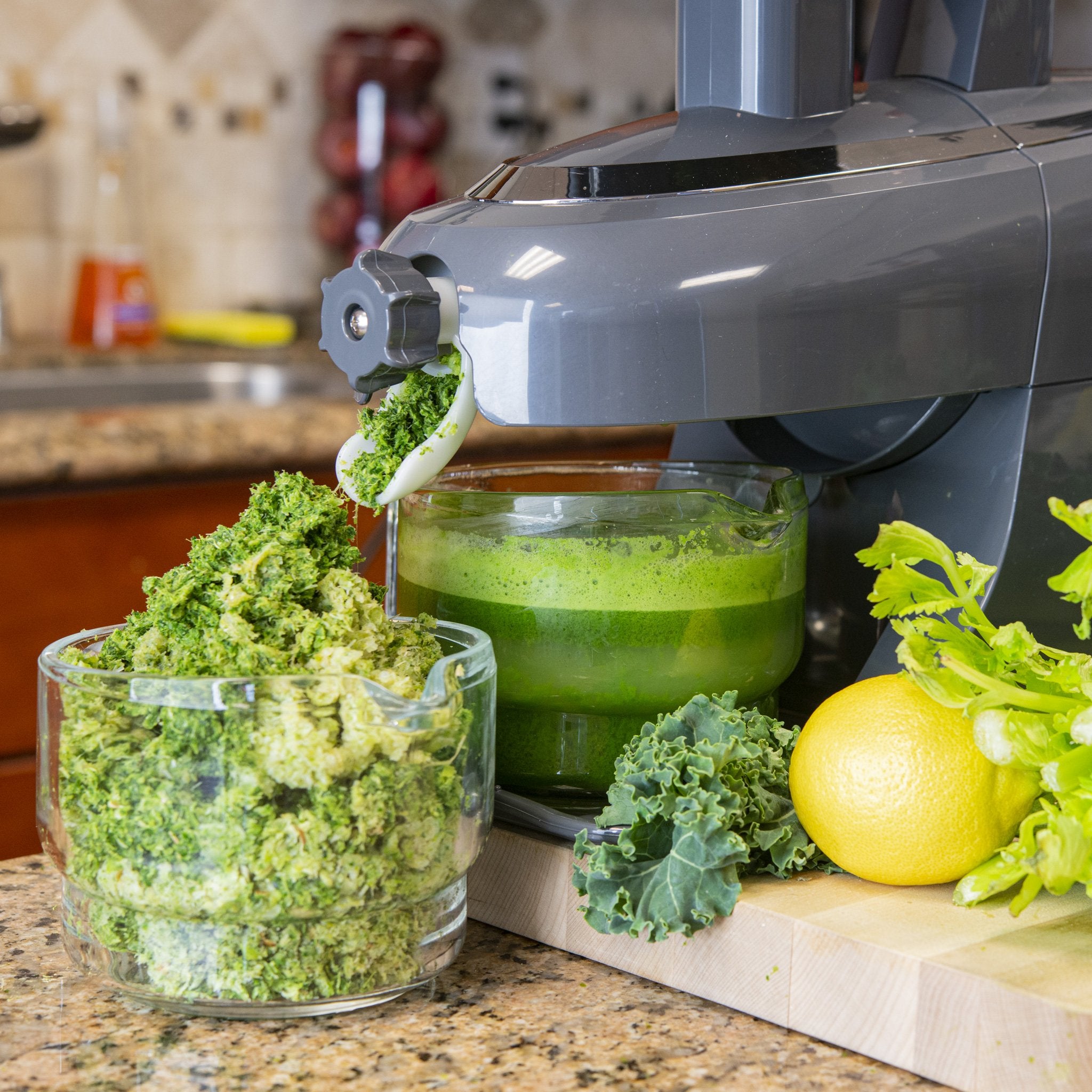 Tribest®  Greenstar® Pro All Stainless Steel Jumbo Twin Gear Commercial Slow Juicer - Juice Guru